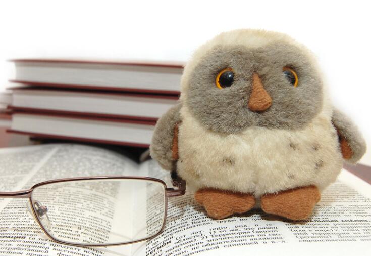 表达教育情怀的句子文案