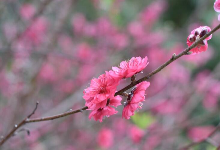 给红颜知己的暖心短句