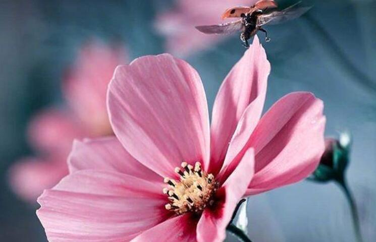 发朋友圈的养生句子文案