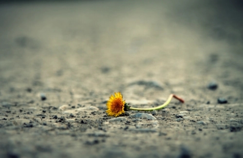 生活好累好压抑的说说文案