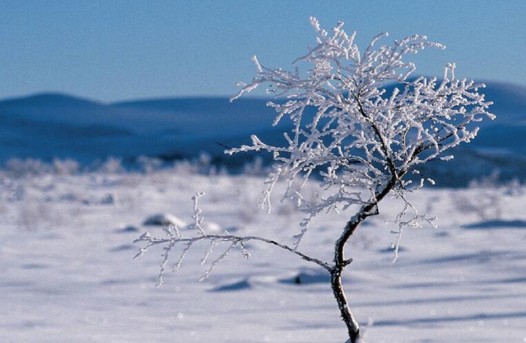 回忆年轻时光的句子文案