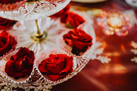 感悟人生爱情经典句子文案