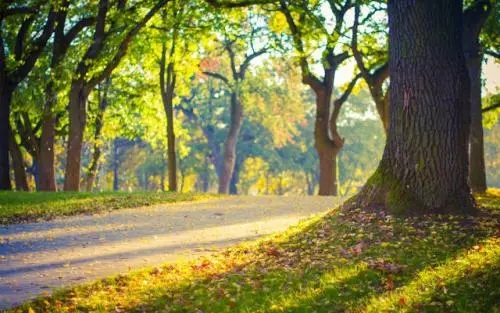 积极向上热爱生活的句子文案