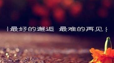 形容动了真感情的句子文案