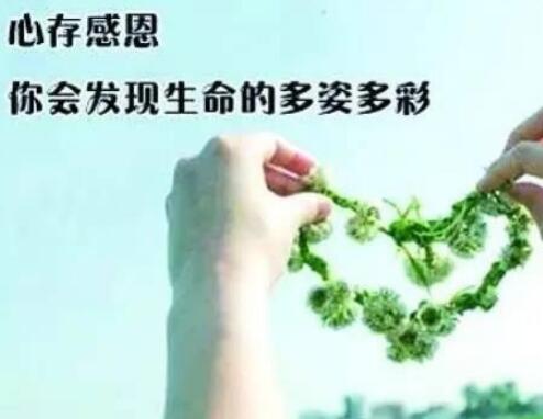 做一个懂得感恩的人