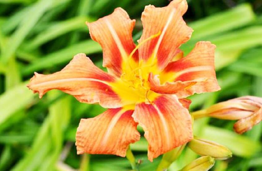 简短现实句子文案的句句人生感悟