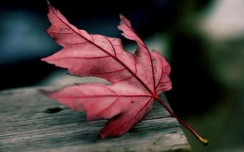 对生活惆怅的句子文案