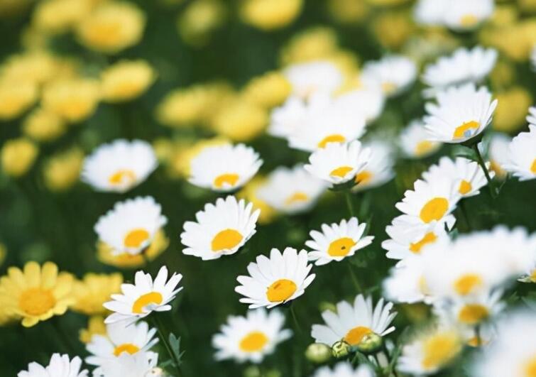 朋友圈简短戳心的话