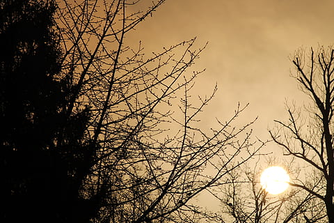 老年朋友最新早安问候语