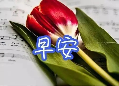 关于早上好的撩人情话文案