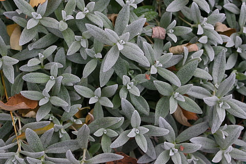 简短爱情句子文案10字以内