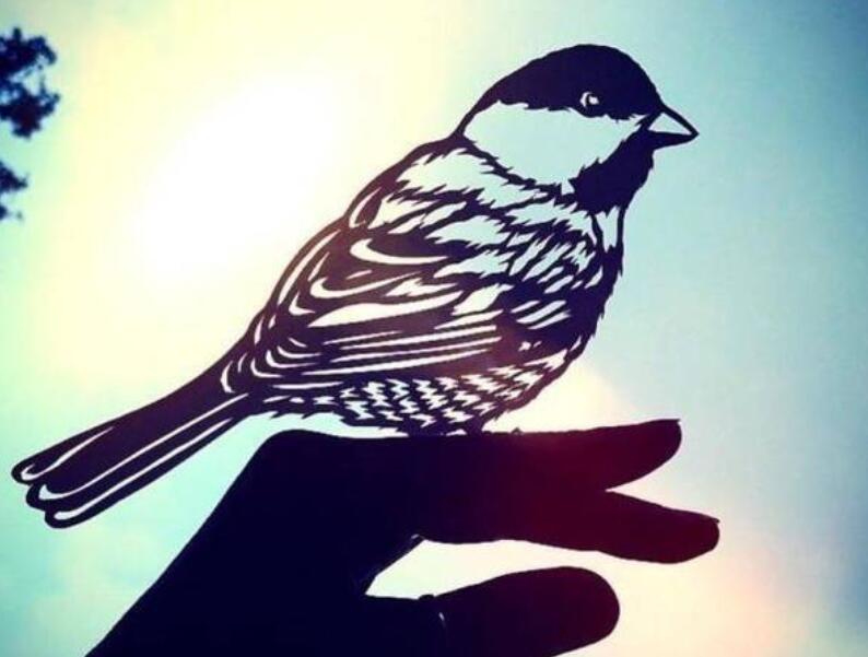 2024早安温馨问候语