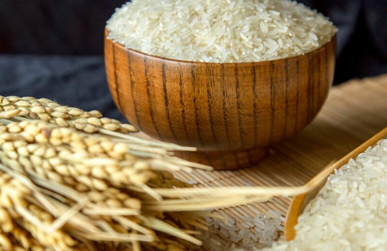 幼儿园餐前感恩词