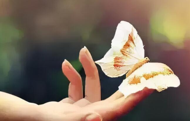 和爱情有关的长句子文案