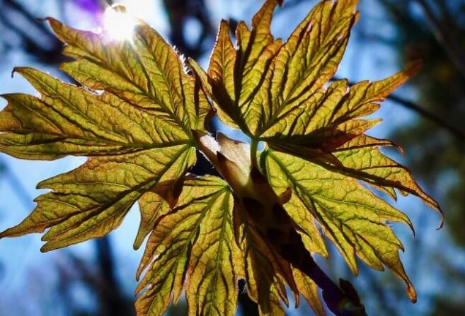 有内涵的朋友圈文案励志