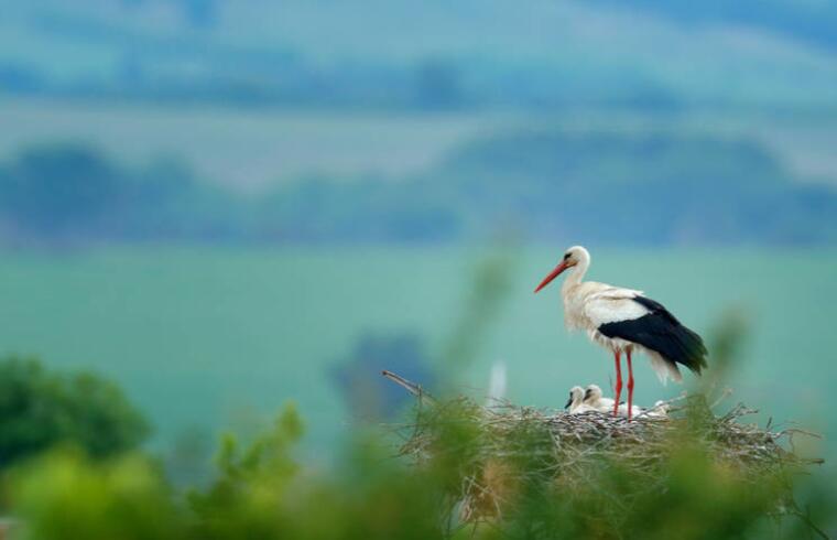 文章句子文案摘抄大全