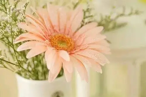 有关微笑的优美短句