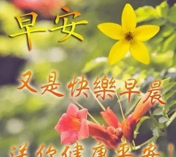 朋友早上好问候语温馨图片