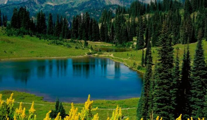 三年级设问句子文案有哪些