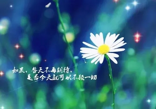 微信朋友圈最火的语句文案