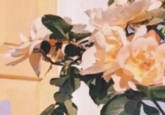 花店适合发朋友圈的句子文案