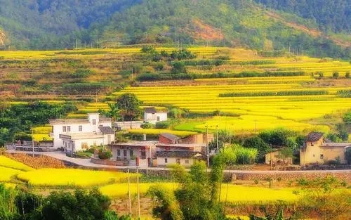 摘抄描写田园风光的句子文案