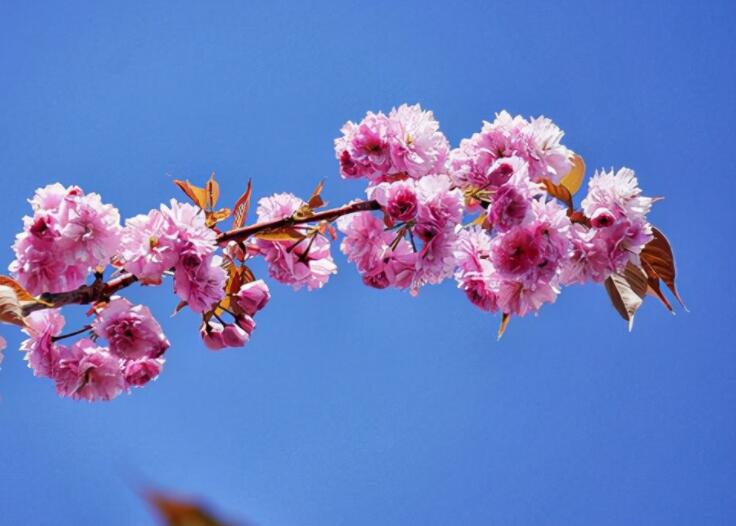 早安分享正能量工作励志句子文案