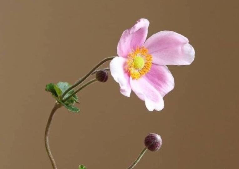 10字经典语录文案短句