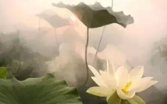 关于舍得的感悟一段话