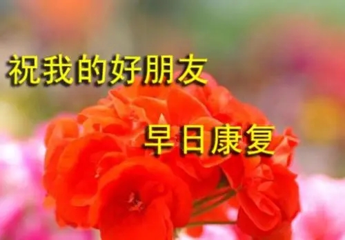 祝早日康复的简短话语