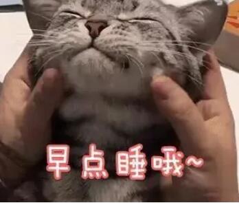 劝人早点休息暖心的话