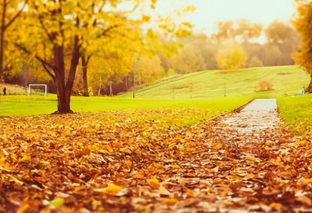 秋天来了写一段话