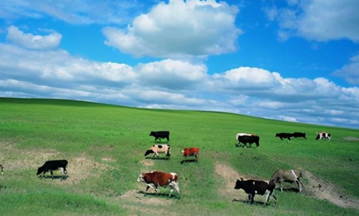 唯美风景语录文案