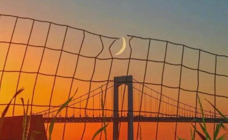 手受伤后的坚强的句子文案