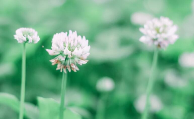 有意义的话语简短