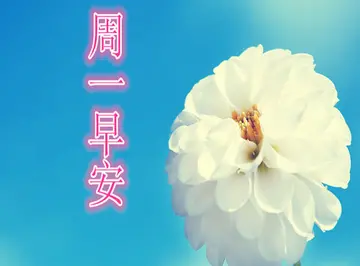 周六清晨早安心语说说文案