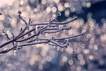 立冬搞笑说说文案