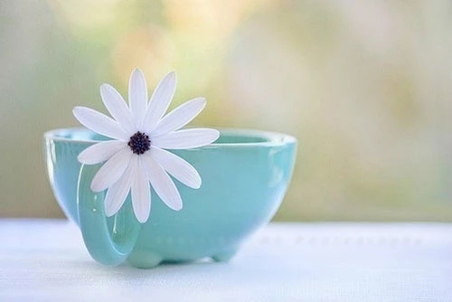 工作调离简短感言美句