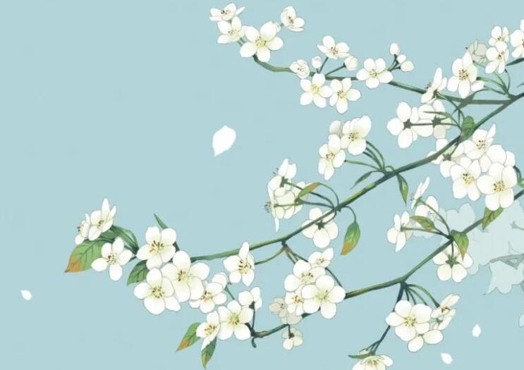 对亡者的思念的诗句文案