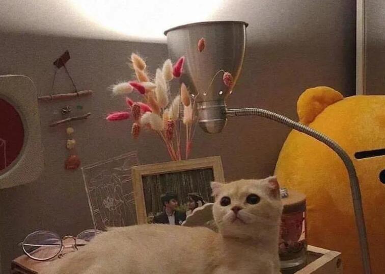 安慰鼓励的暖心句子文案