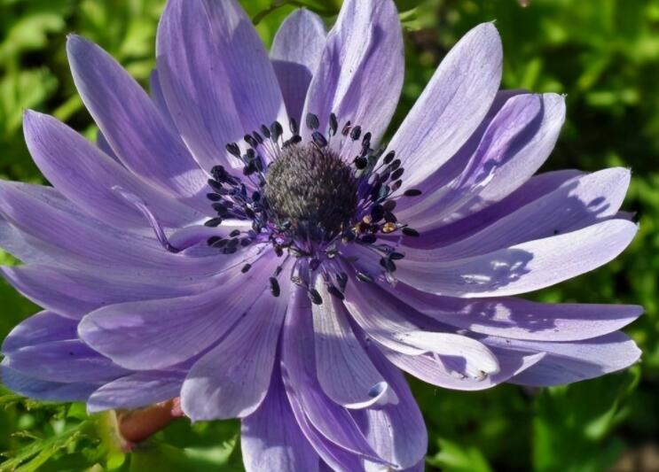 发朋友圈励志正能量句子文案简短