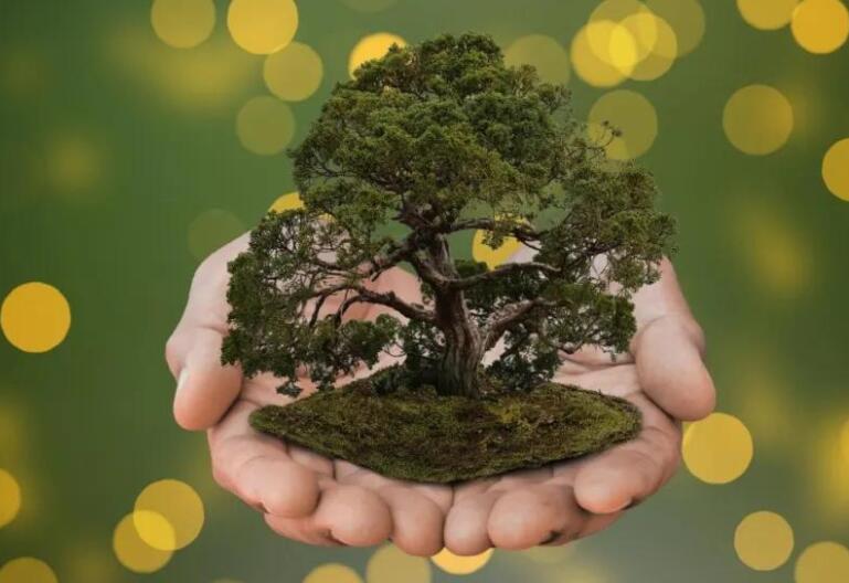 保护环境名人名言精选