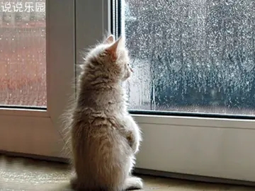 自己心烦的句子文案说说心情短语