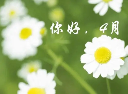 形容4月份的美好短句
