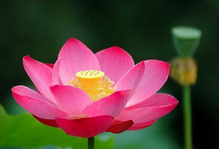 人生扎心语句文案