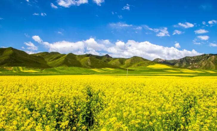 春分好兆头诗句文案