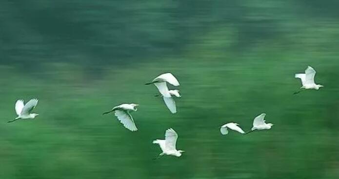 男孩生日诗句文案经典