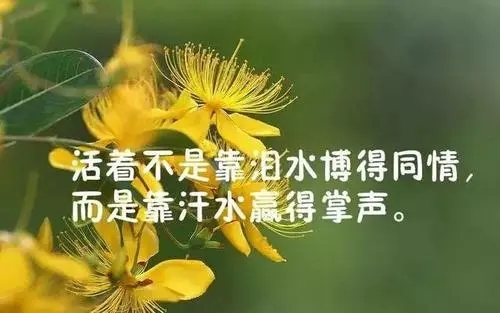 扎心现实句子文案