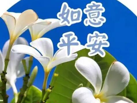 早安吉祥问候语