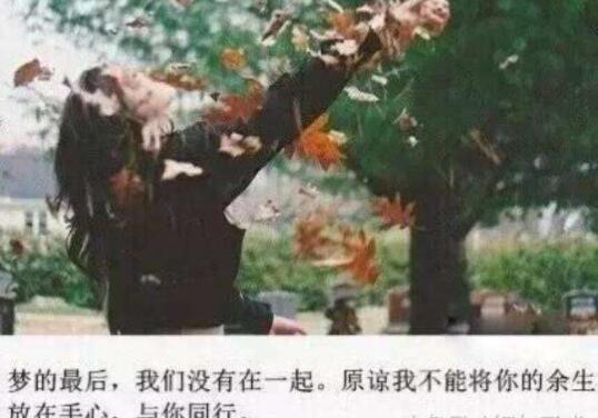 抖音上很火的情感语录文案